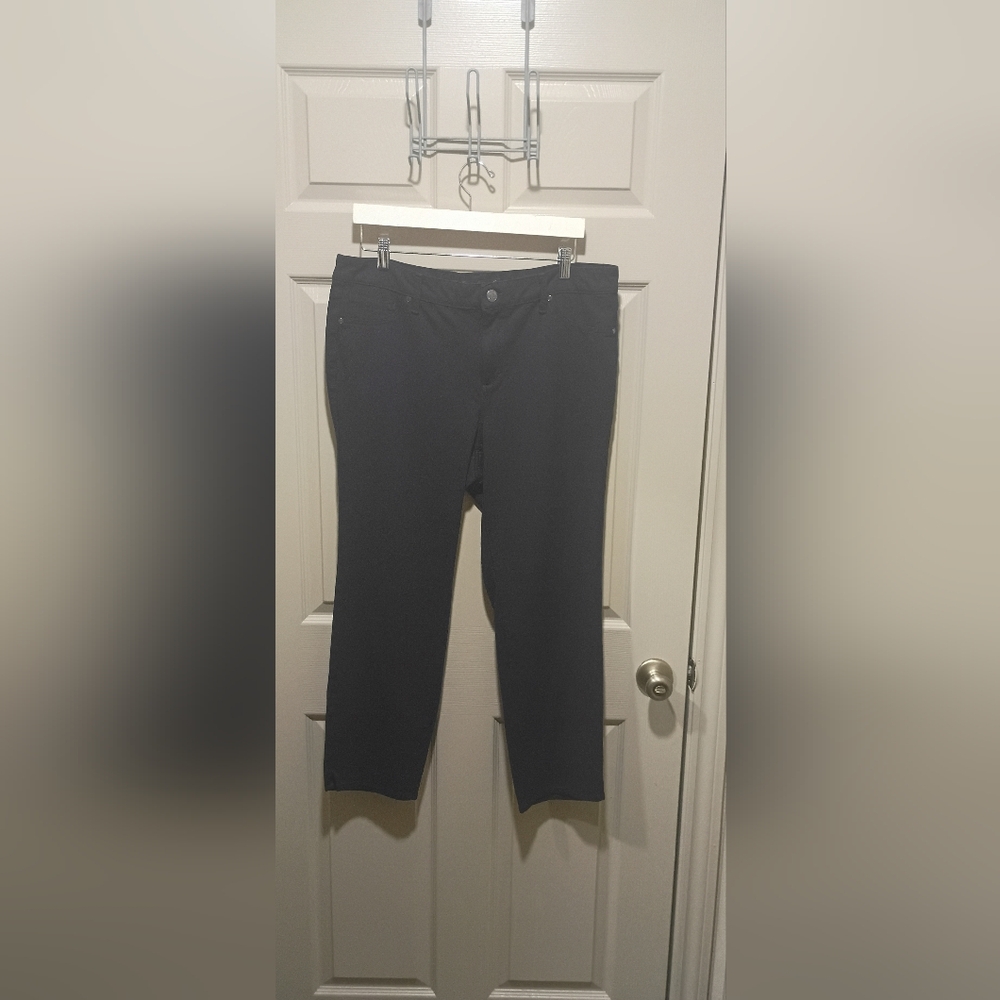 Gloria Vanderbilt NWOT plus Size Stretch 16w 5 Pocket Pants Lightweight
